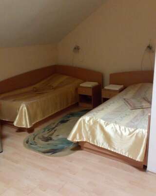 Отель Отель «Павлинка» Shchuchyn Двухместный номер с 2 отдельными кроватями-1
